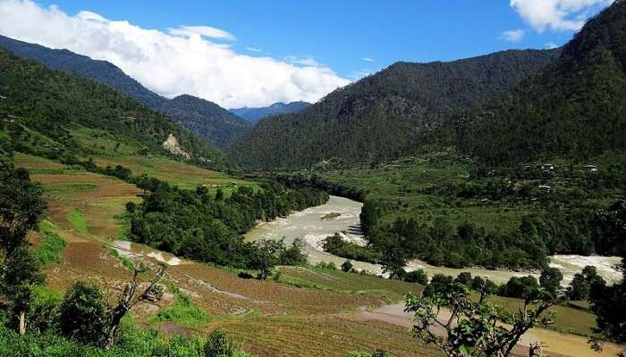 Jigme Dorji National Park: A Guide To Bhutan's Hidden Gem