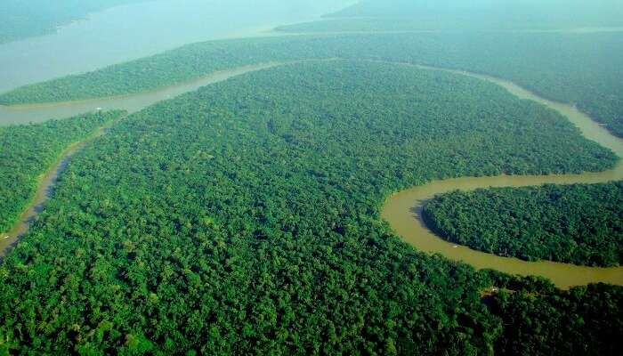  Amazon river 