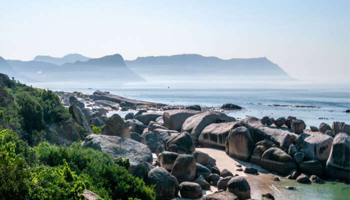 Boulders Beach A Guide For Those Travelling To South Africa Boulders Beach A Guide For Those