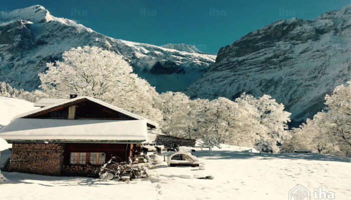 Interlaken & Grindelwald