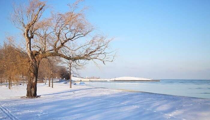 Does It Snow In 2022 Chicago For Christmas Chicago In Winter 2022: Best Places To Visit & Things To Do!