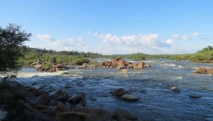  Xingu River