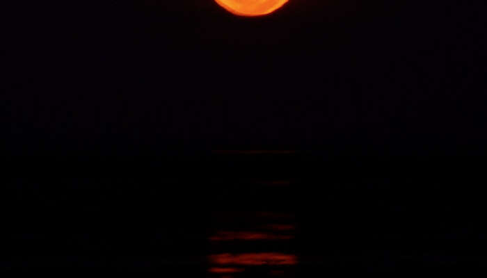 moon reflection on low tides