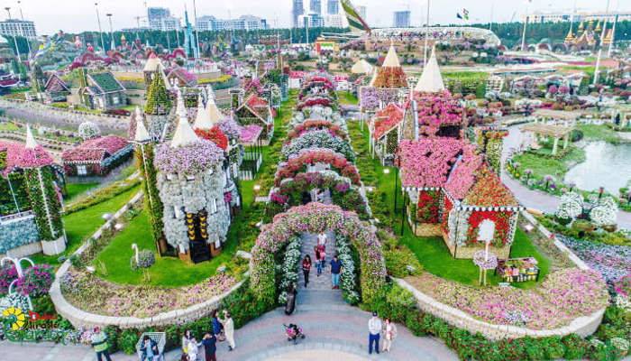 Dubai Miracle Garden in Dubai