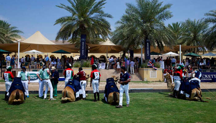 Dubai Polo And Equestrian Club in Dubai