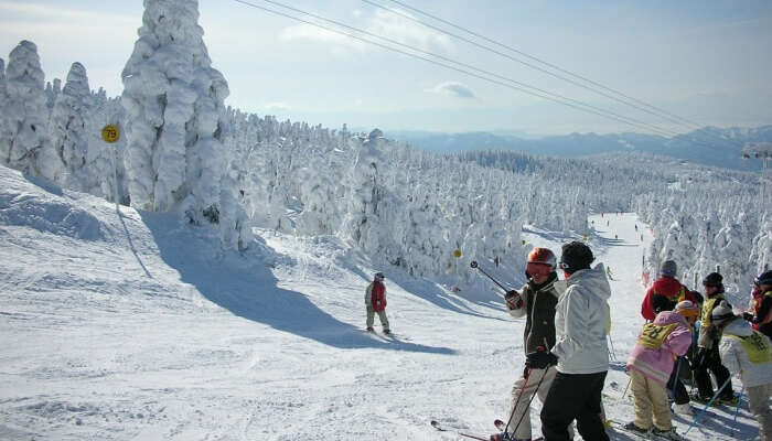 Vai snowboard o sci