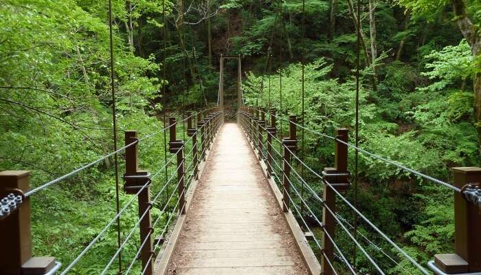  Mount Takao 