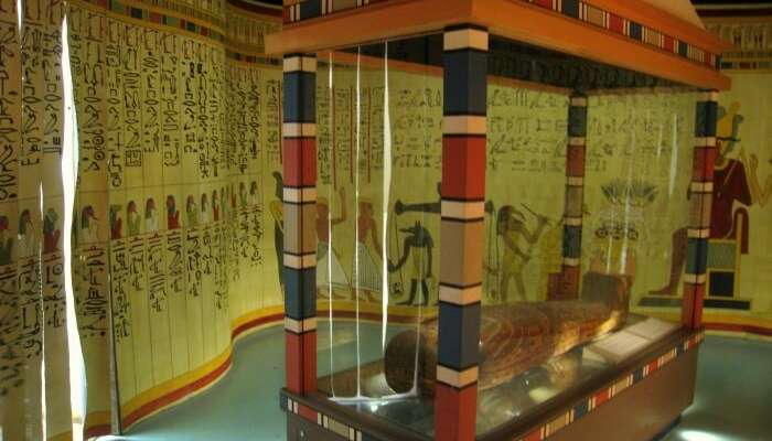 Guided tour of Egyptian Museums