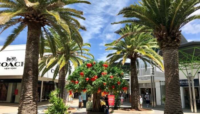 Shopping In Gold Coast 10 Best Markets Malls In The City