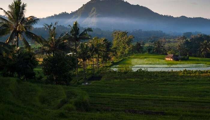 sidemen valley in bali in 2022 know all about it for your holiday sidemen valley in bali in 2022 know all about it for your holiday