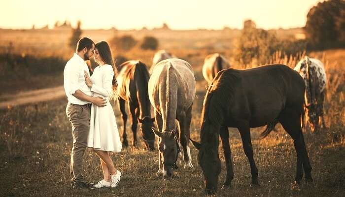 Yeni Zelanda'da En Romantik Sevgililer Günü