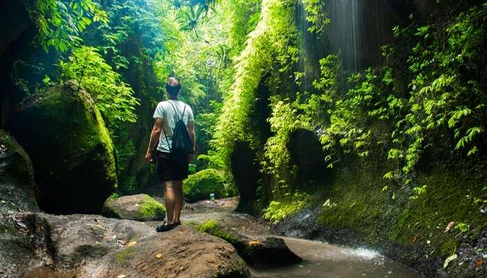 Tukad Cepung Waterfall 2020 All About Exploring This Beauty