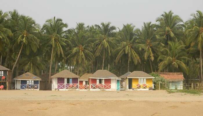 beach in Agonda