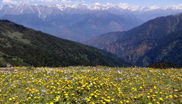 Chandrakhani Pass near Manali