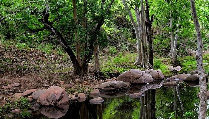Chinnar Wildlife Sanctuary