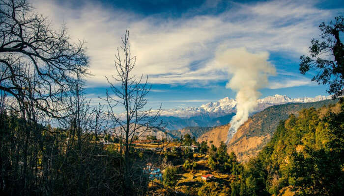 Chopta Valley