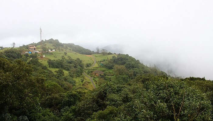 Mist blowing over Coorg