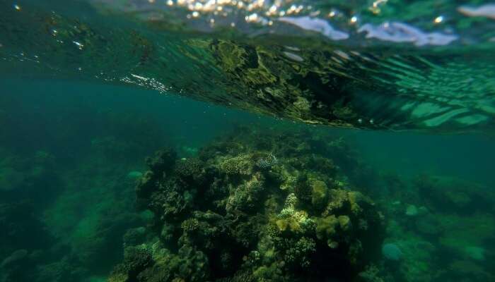 Great Barrier Reef