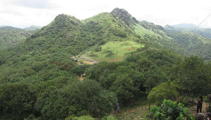 Spring Valley Mountain In Thekkady