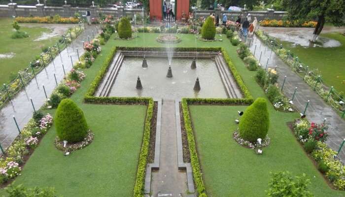 Garden view from bird's point of view