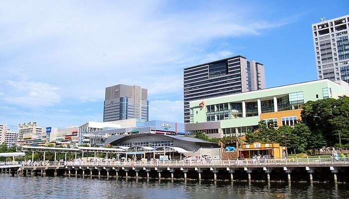 famous Odaiba decks