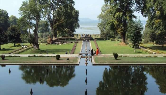 people near a pond in a garden