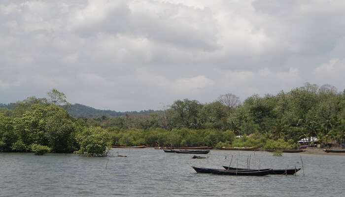 Fishing boats at an island in Andaman