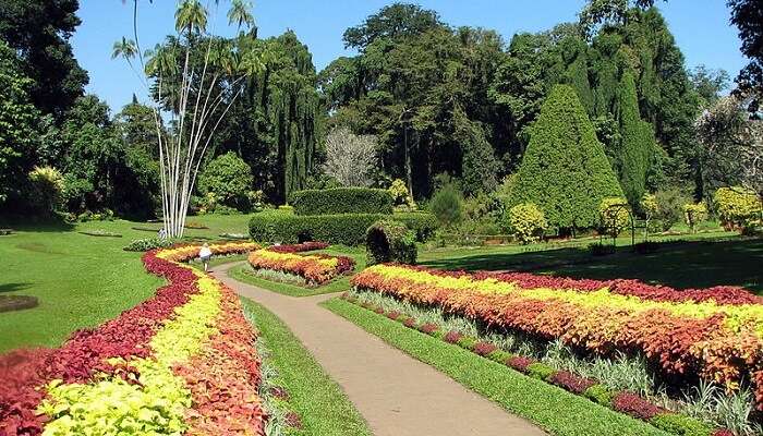 peradaniya gardens