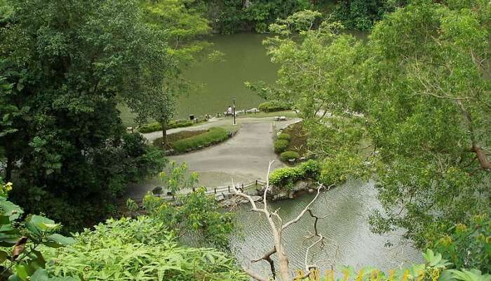 Bukit Batok Town Park