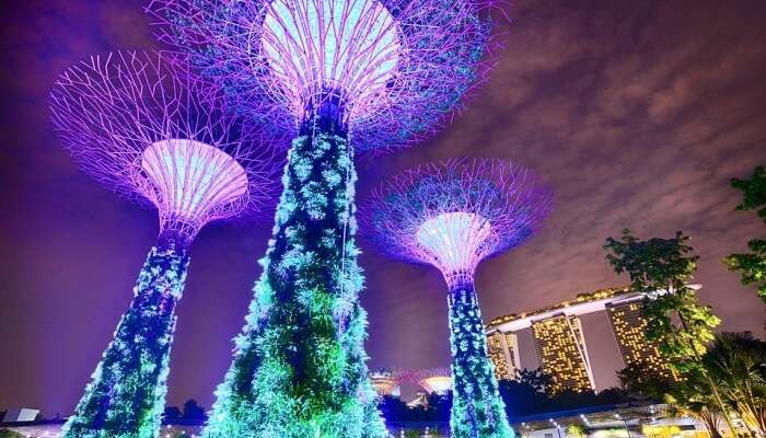 Gardens By The Bay