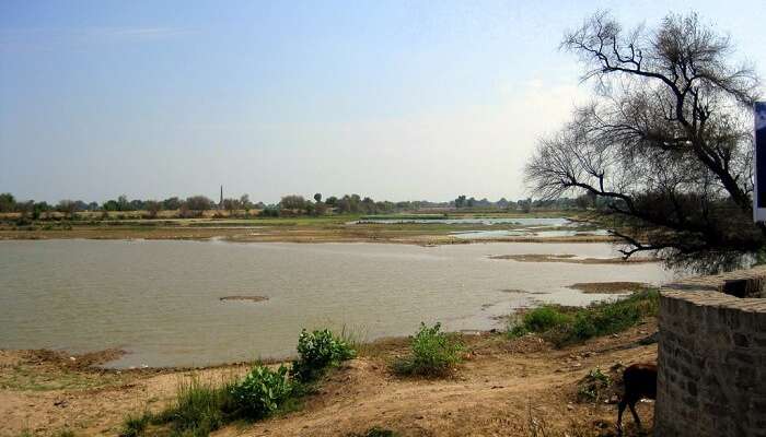 Hanumangarh Ghaggar river