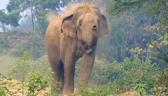 Koshi Tappu Wildlife Reserve