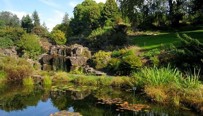 Natural History Museum And Botanical Gardens