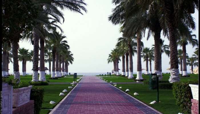 Sealine Beach Resort