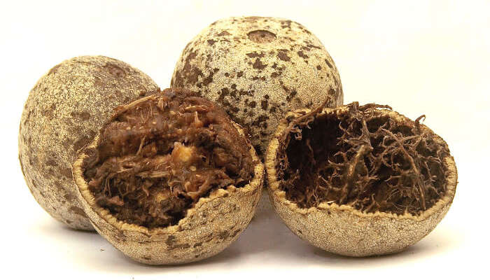 Wood Apple