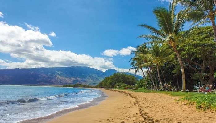 view of maui in hawaii