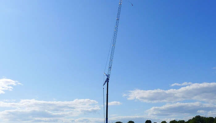 Crane Jumping Helsinki