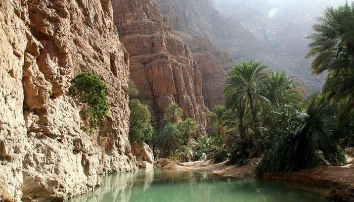 Wadi Shab Tours