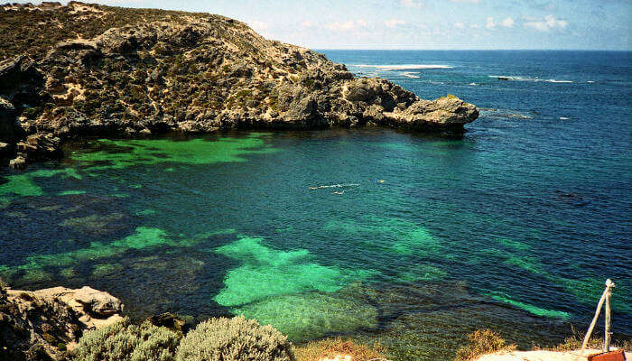 Rottnest Island_23rd oct