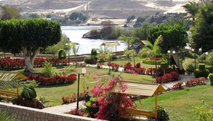 gruppe Antipoison Redaktør 15 Exciting Things To Do In Aswan On Your Egyptian Vacation
