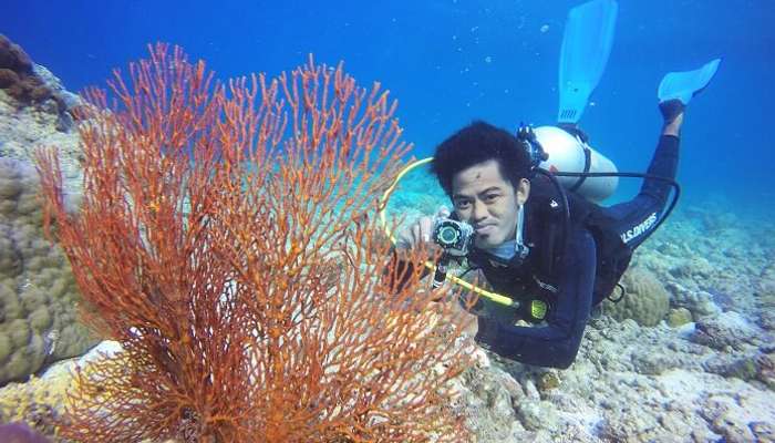 Scuba Diving In Kerala Price Cronoset Scuba Diving In Kerala Price Cronoset