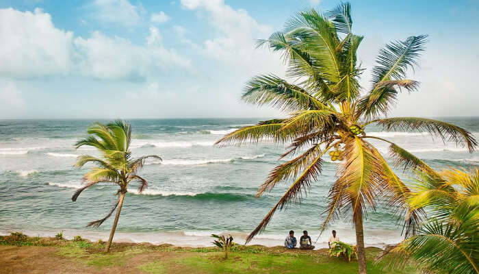 Best Time To Visit Sri Lanka