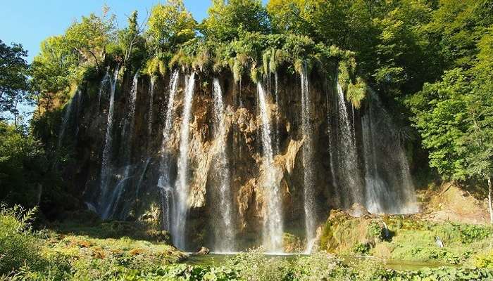 Chutes de quenouilles