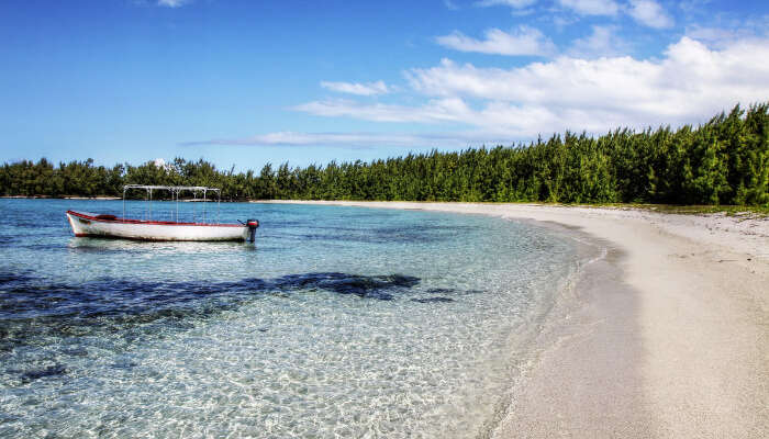 Dating site- ul Mauritius Island)