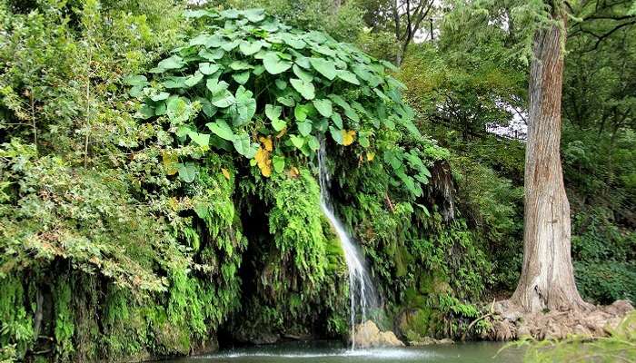 Krause Springs