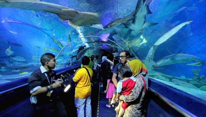 5 Handpicked Places To Visit In Kuala Lumpur For Kids One Must Visit