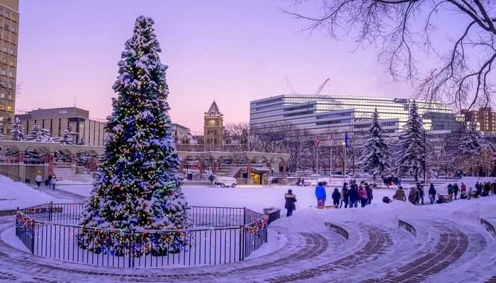Beautiful Calgary In Winter