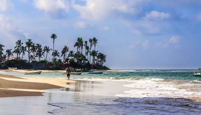 Romantic Honeymoon Places In Sri Lanka In 21