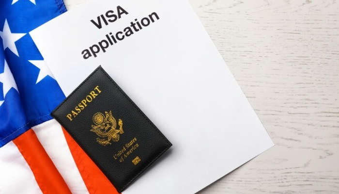 Image result for russian visa company