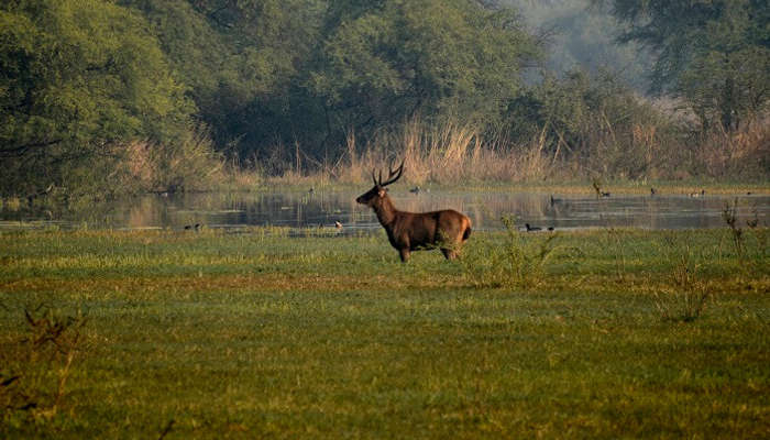 Keoladeo National Park